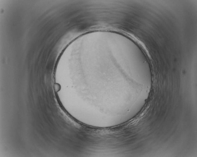 X0000062891239200602101733