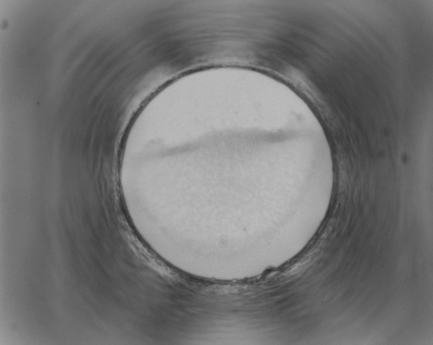 X0000062891240200602101733