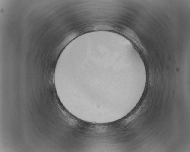 X0000062891241200602101733