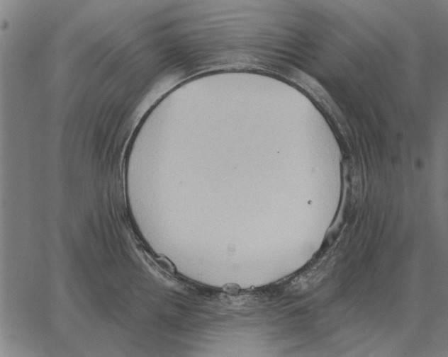 X0000062891242200602101733