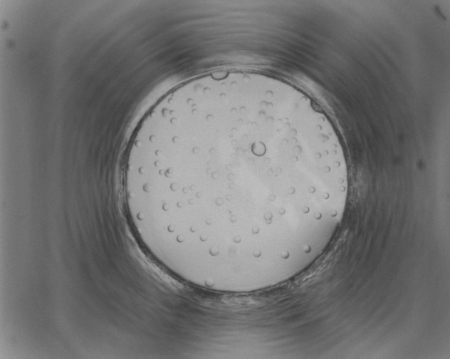 X0000062891243200602101733