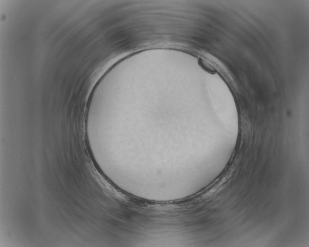 X0000062891244200602101733