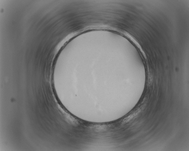 X0000062891245200602101733