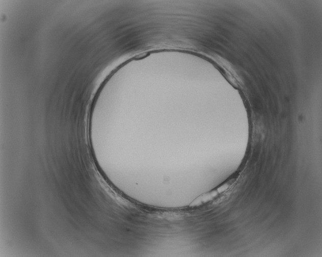 X0000062891246200602101733