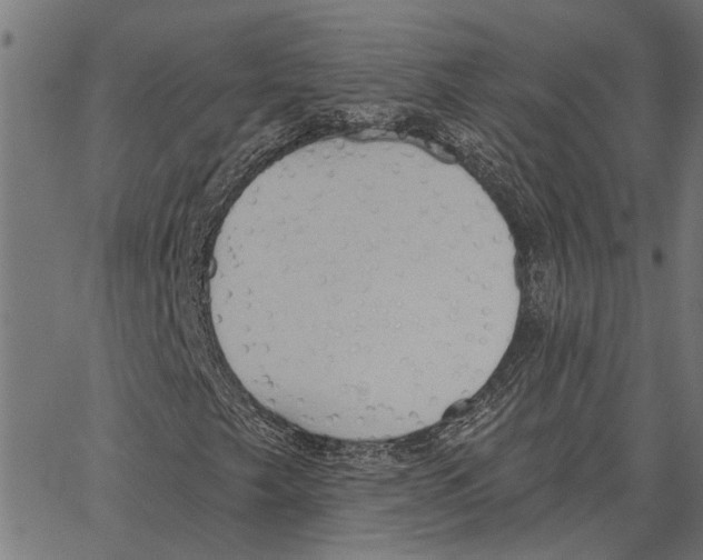 X0000062891249200602101733