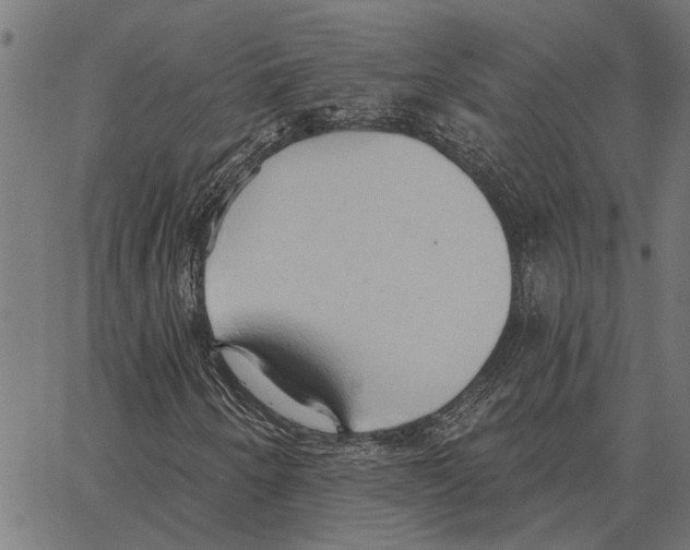 X0000062891250200602101733