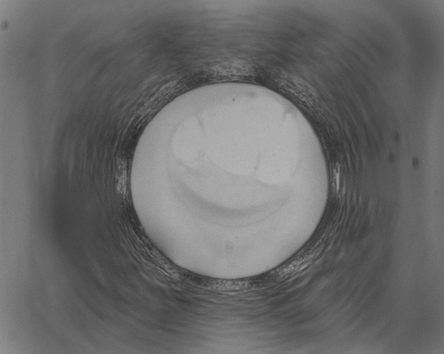 X0000062891251200602101732