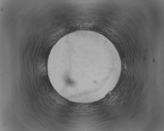 X0000062891252200602101732