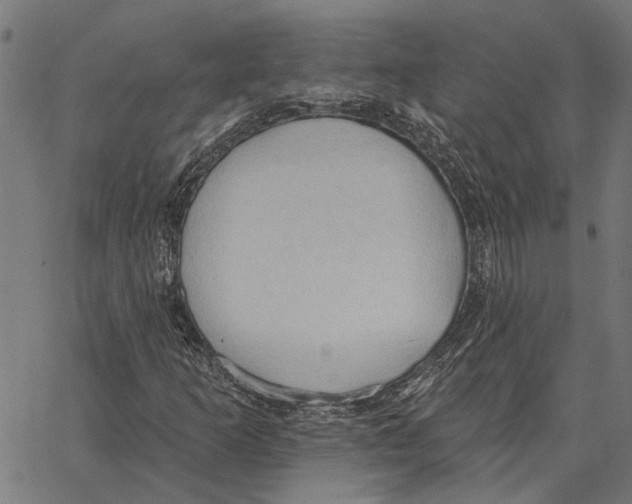 X0000062891253200602101732