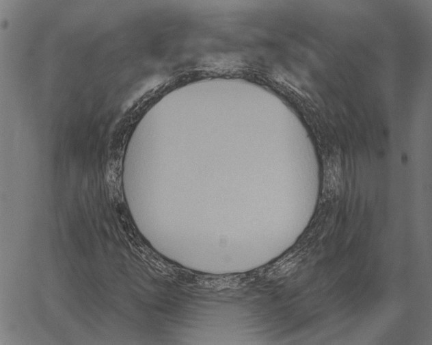 X0000062891254200602101732