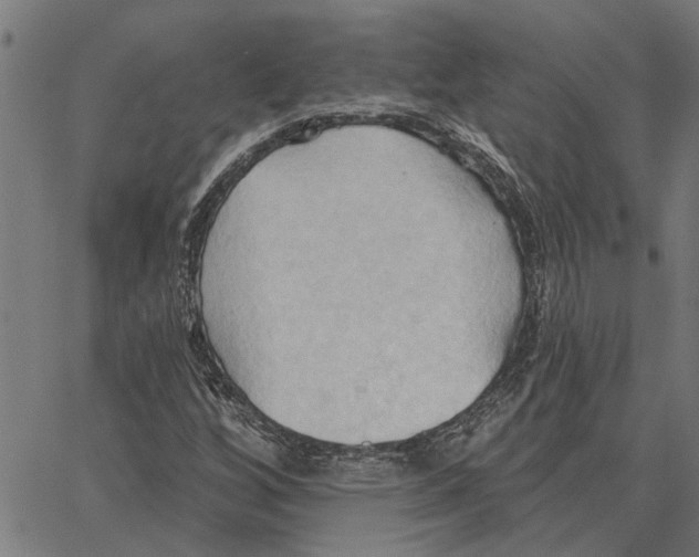 X0000062891256200602101732