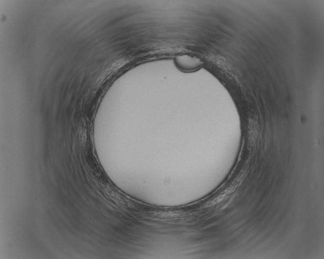 X0000062891257200602101732