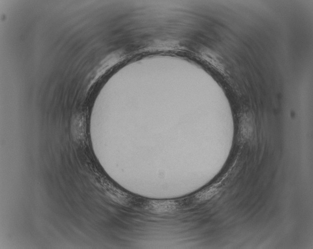 X0000062891258200602101732