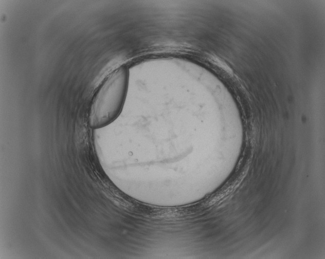 X0000062891259200602101732