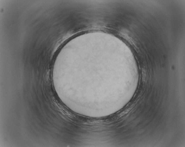 X0000062891260200602101732