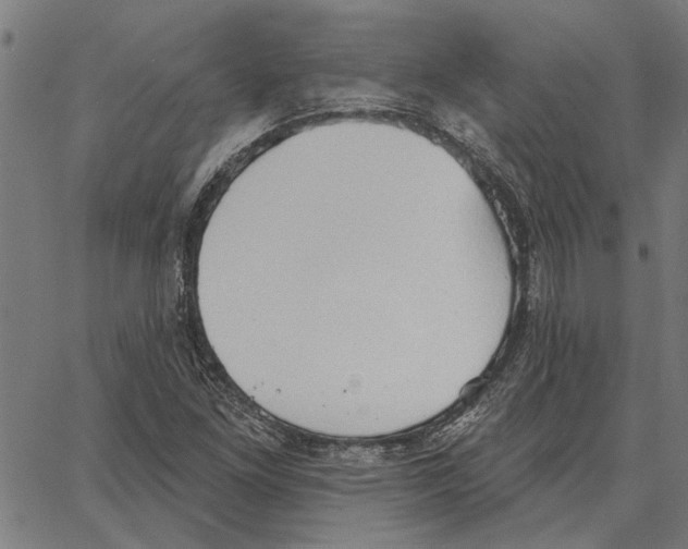 X0000062891261200602101732