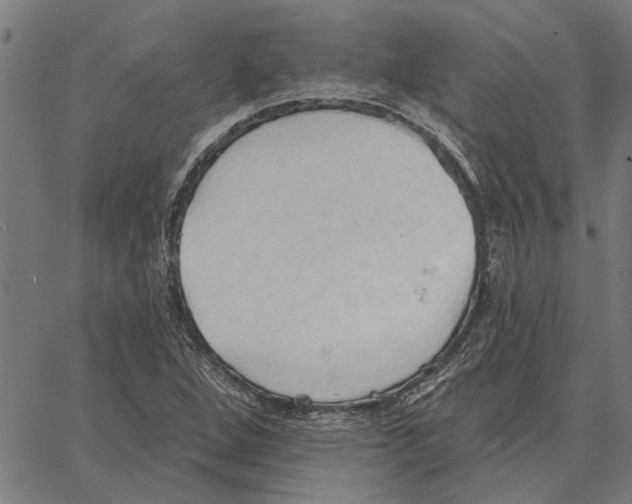 X0000062891264200602101732