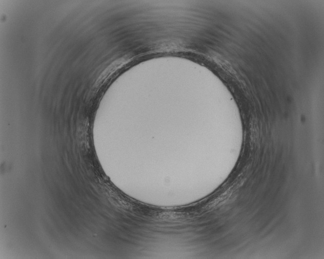 X0000062891265200602101732