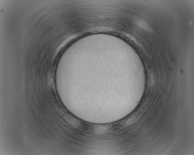 X0000062891266200602101732