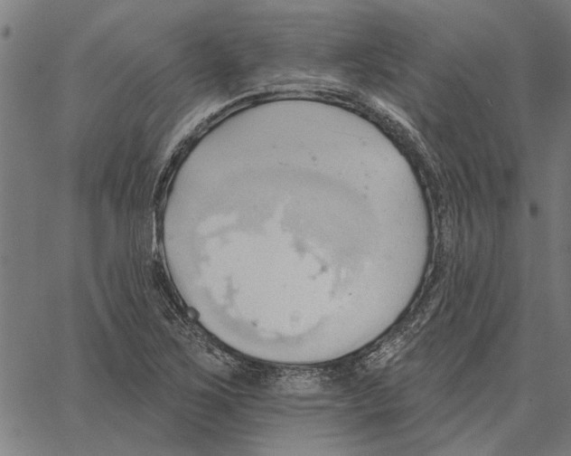 X0000062891267200602101732