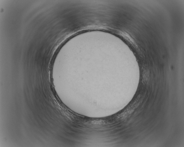 X0000062891268200602101732