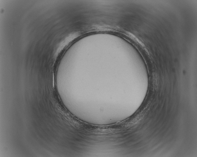 X0000062891269200602101732