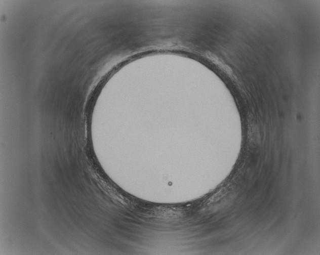 X0000062891270200602101732