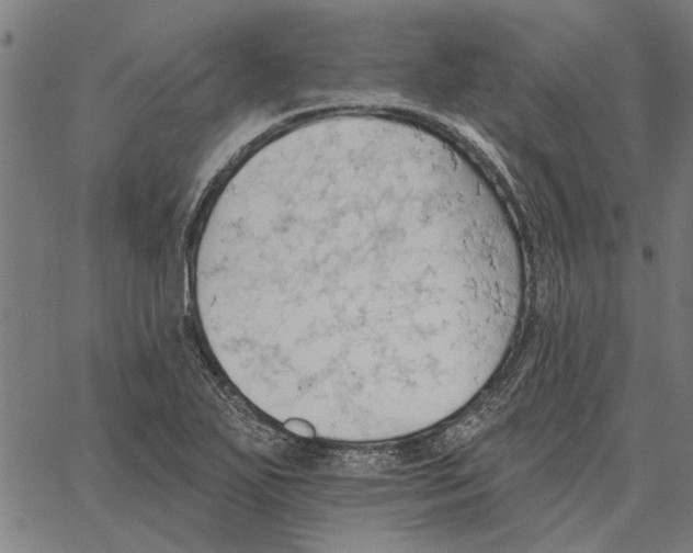 X0000062891271200602101732