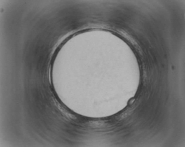 X0000062891272200602101732