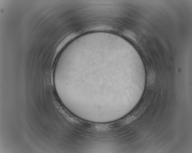 X0000062891274200602101732