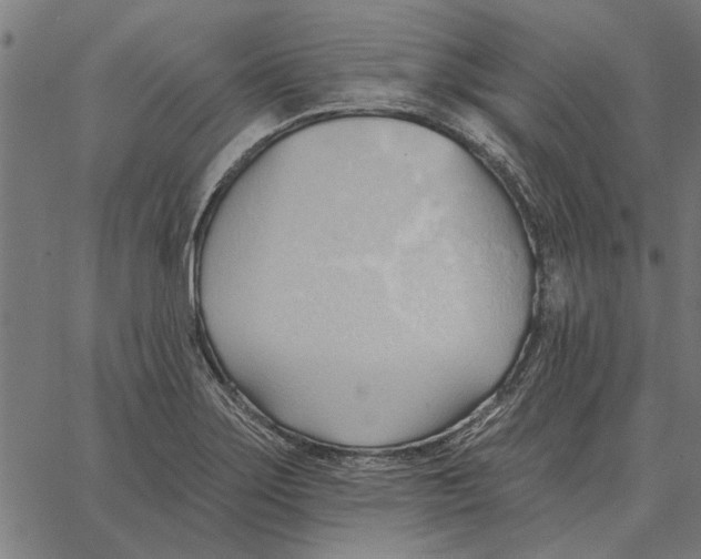 X0000062891275200602101732