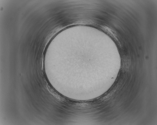 X0000062891276200602101732