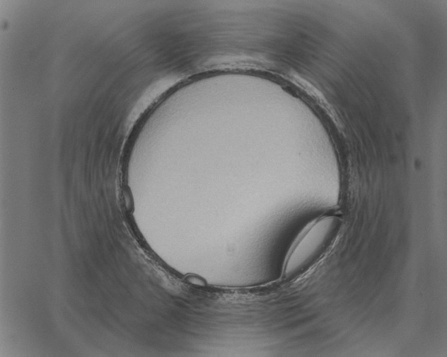 X0000062891277200602101732