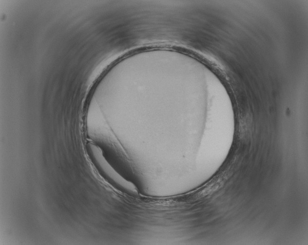 X0000062891279200602101732