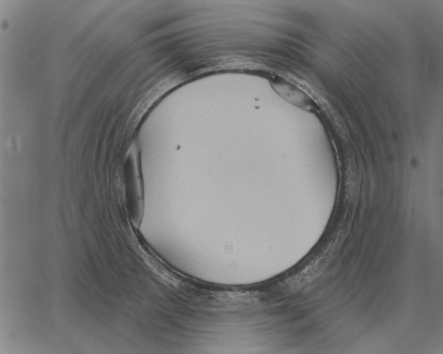 X0000062891281200602101732