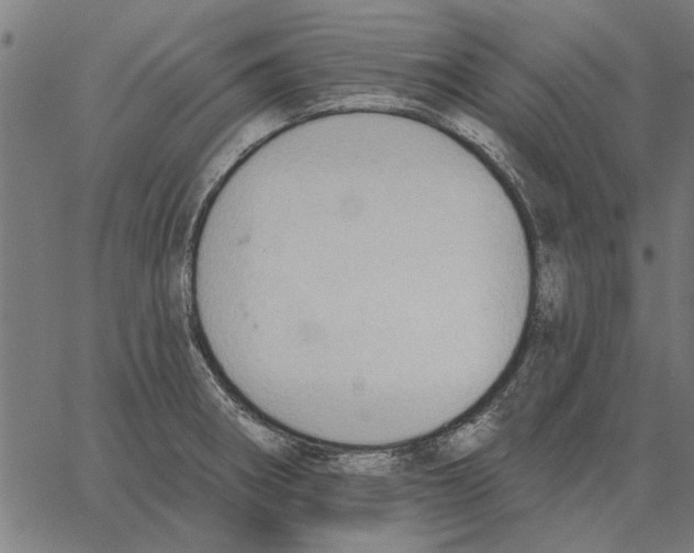 X0000062891282200602101732