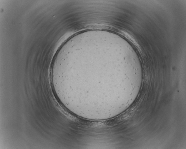 X0000062891283200602101732