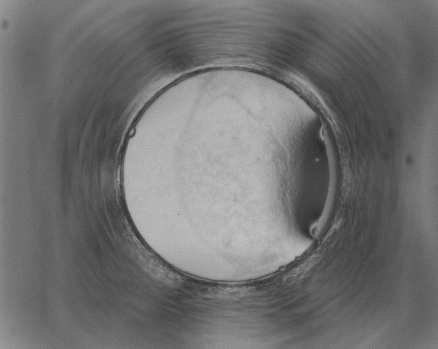 X0000062891284200602101732