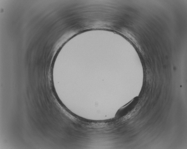 X0000062891285200602101732