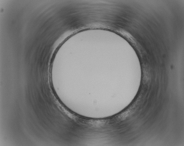 X0000062891286200602101732