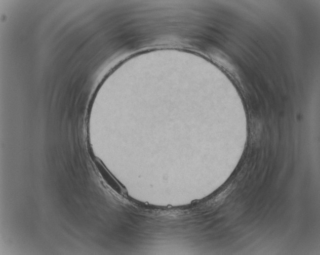 X0000062891288200602101732