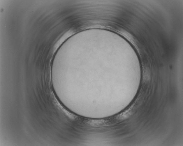 X0000062891290200602101732