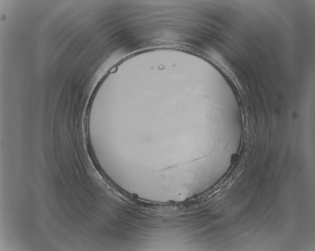 X0000062891291200602101732