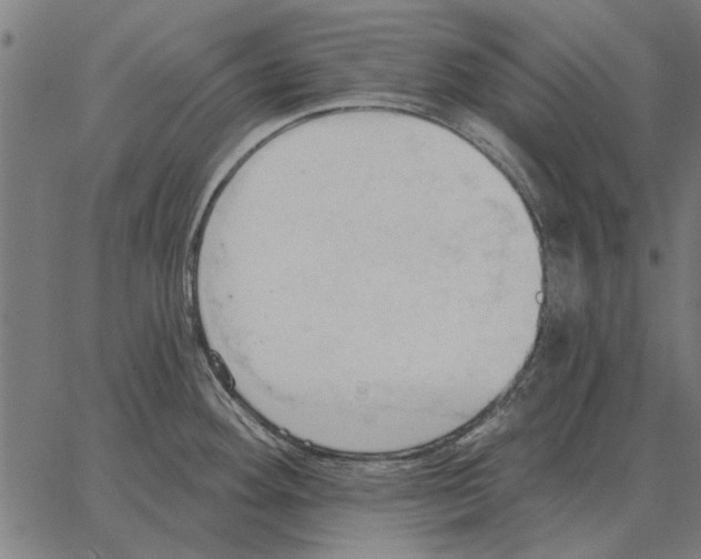 X0000062891292200602101732