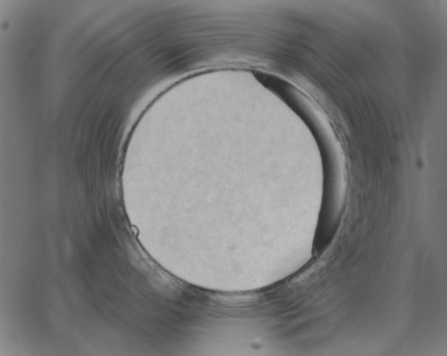 X0000062891296200602101732