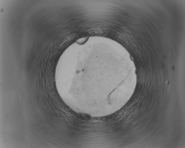 X0000062891297200602101731