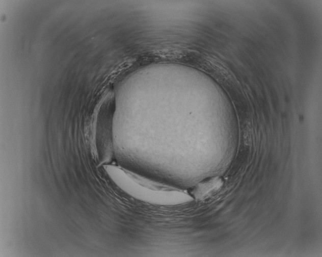 X0000062891298200602101731