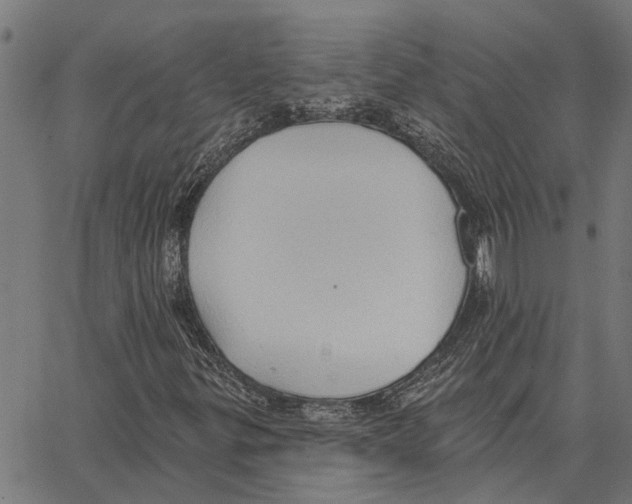 X0000062891299200602101731