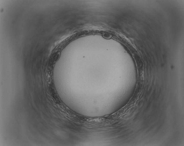 X0000062891303200602101731