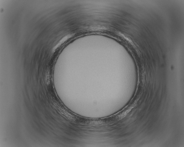 X0000062891306200602101731